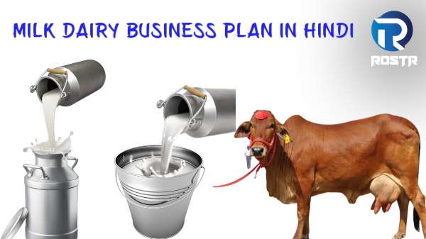 Milk Dairy Business Plan in Hindi